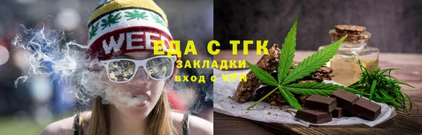 хмурый Аркадак