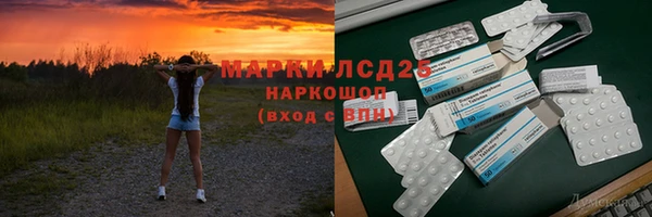 хмурый Аркадак