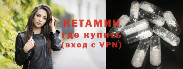 хмурый Аркадак