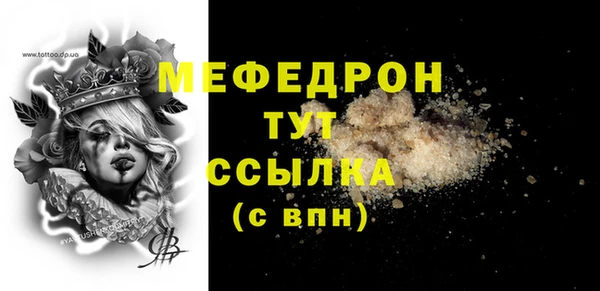 хмурый Аркадак