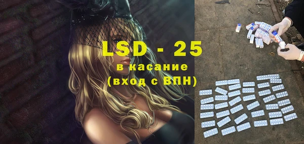 хмурый Аркадак