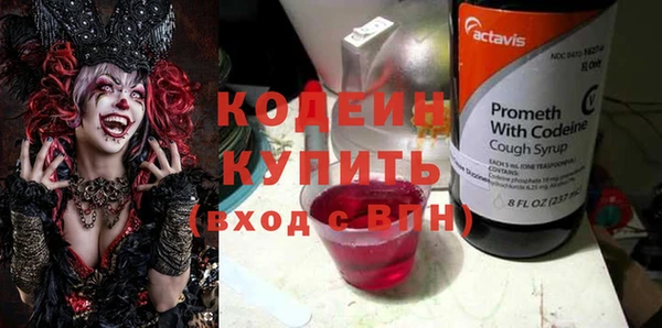 хмурый Аркадак