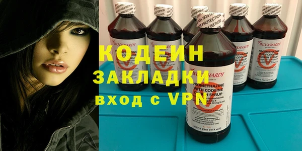 хмурый Аркадак